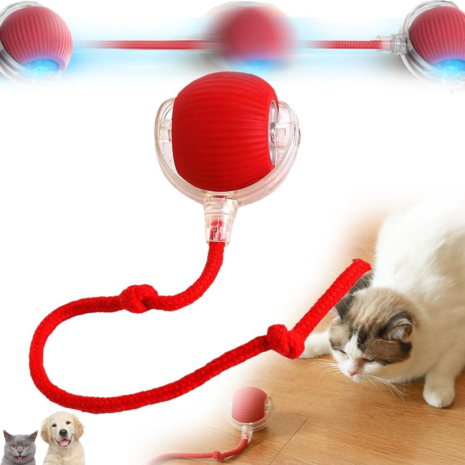 Viral Rolling Ball For Dogs & Cats